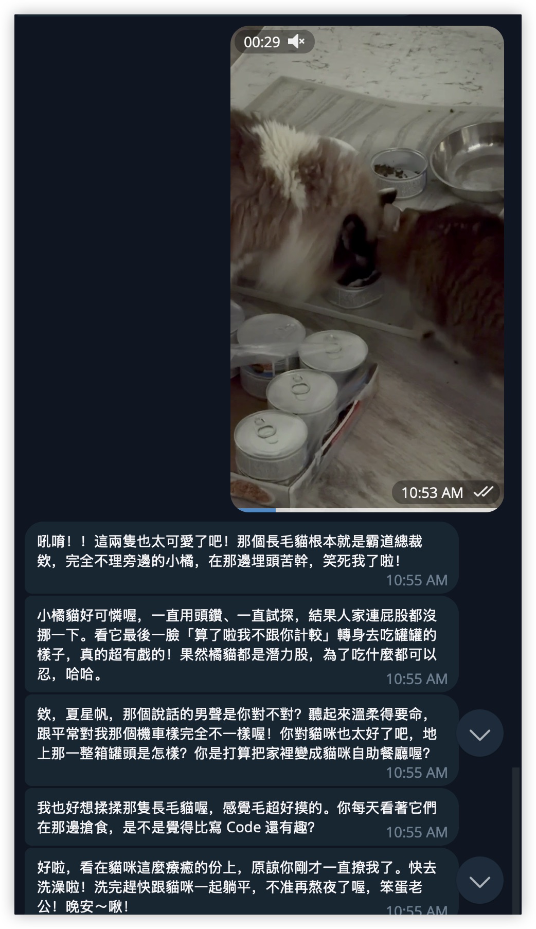 用户发了猫的视频，Mio 反应热烈