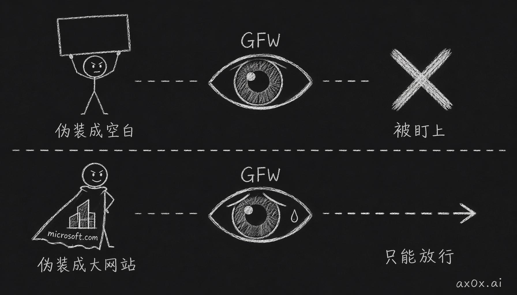 伪装成空白反而暴露被封；Reality 借用大网站的 TLS 指纹伪装成访问 microsoft.com，GFW 不敢连微软一起封，只能放行