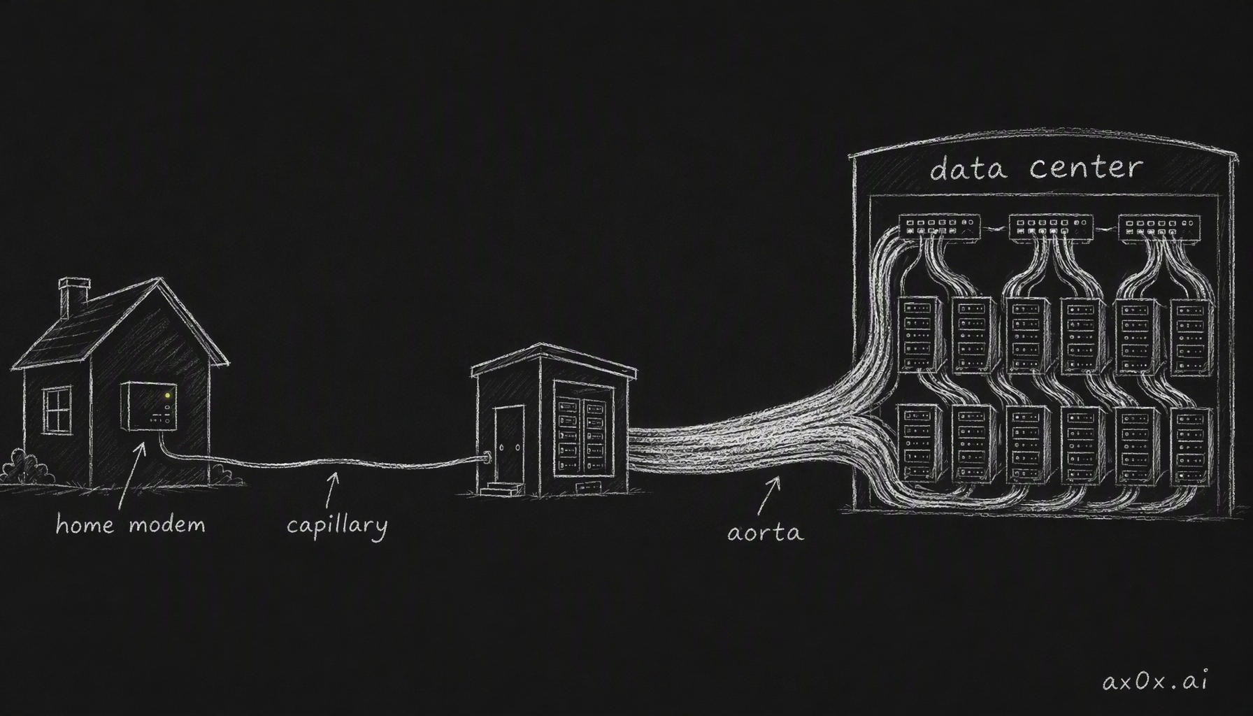 The optical modem on your wall is the capillary at the very edge of the optical network; the modules packed into leaf and spine switch panels in a data center are the aorta